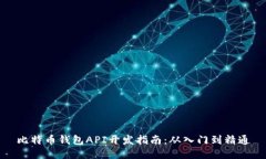 比特币钱包API开发指南：从入门到精通