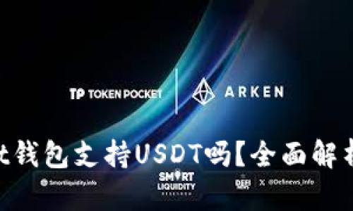TokenPocket钱包支持USDT吗？全面解析与使用指南