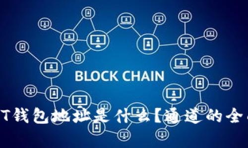 : USDT钱包地址是什么？通道的全面解析