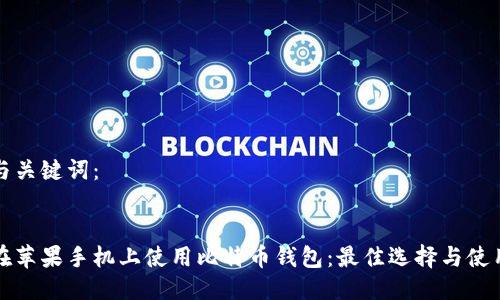 思考与关键词：

优质
如何在苹果手机上使用比特币钱包：最佳选择与使用指南