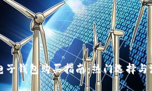 比特币电子钱包购买指南：热门选择与注意事项