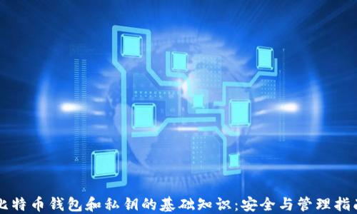 
比特币钱包和私钥的基础知识：安全与管理指南