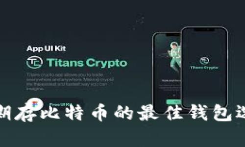 长期存比特币的最佳钱包选择