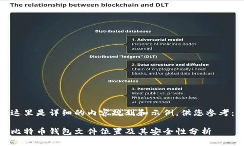 这里是详细的内容规划和示例，供您参考：

比特币钱包文件位置及其安全性分析