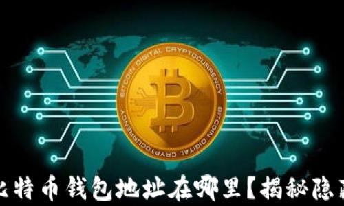 
沉睡的比特币钱包地址在哪里？揭秘隐藏的财富