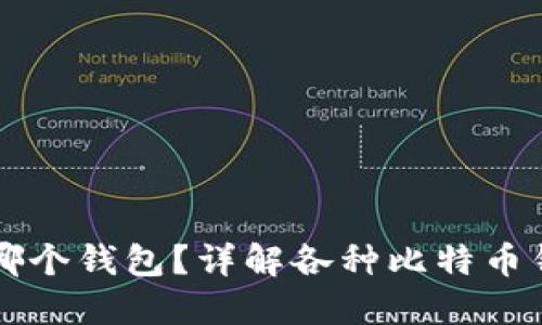 比特币放进哪个钱包？详解各种比特币钱包选择指南