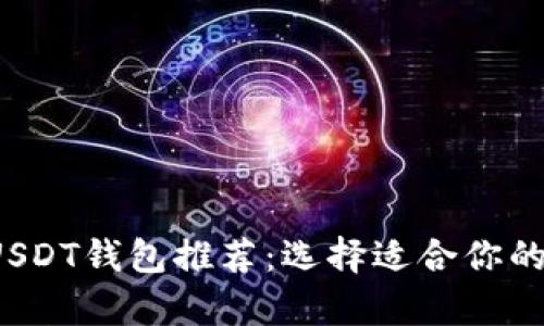 2023年最安全的USDT钱包推荐：选择适合你的数字资产存储方式