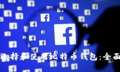 如何选择和使用比特币钱包：全面指南