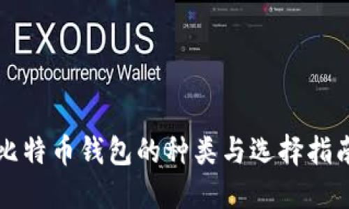 比特币钱包的种类与选择指南