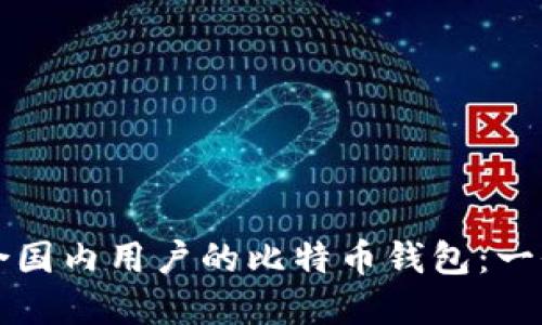 如何选择适合国内用户的比特币钱包：一份全面的指南