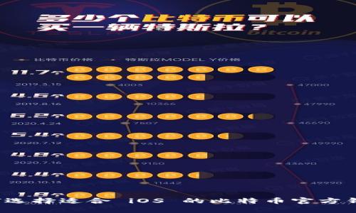 如何选择适合 iOS 的比特币官方钱包？