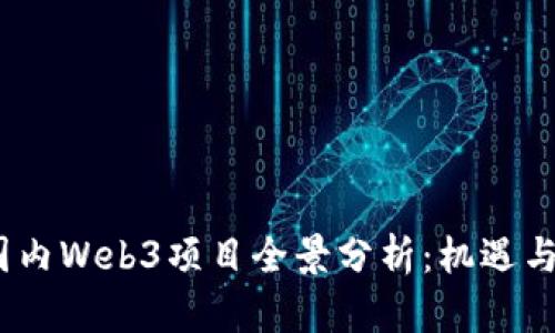 2023年国内Web3项目全景分析：机遇与挑战并存