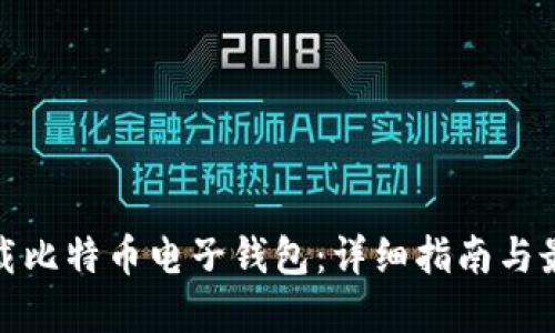 如何下载比特币电子钱包：详细指南与最佳选择