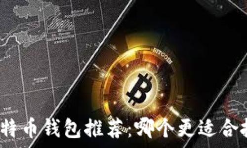   
最佳比特币钱包推荐：哪个更适合投资者？