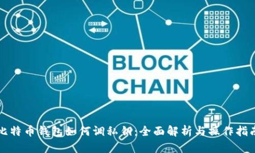 比特币钱包如何调私钥：全面解析与操作指南