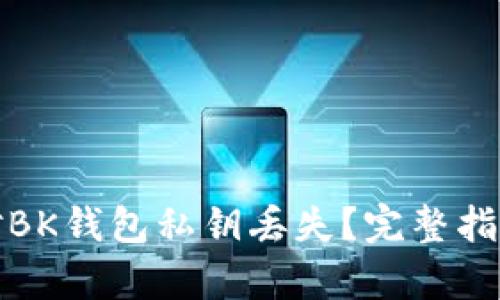 如何有效应对BK钱包私钥丢失？完整指南与解决方案