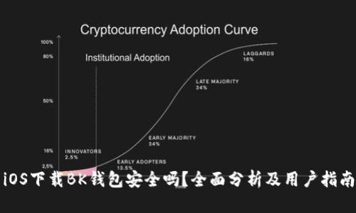 iOS下载BK钱包安全吗？全面分析及用户指南