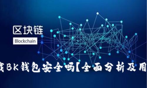 iOS下载BK钱包安全吗？全面分析及用户指南