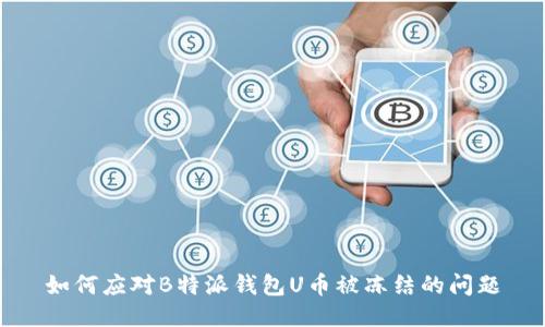 如何应对B特派钱包U币被冻结的问题