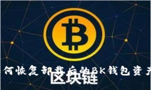 如何恢复卸载后的BK钱包资产？