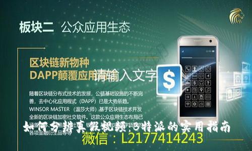 如何分辨真假视频：B特派的实用指南