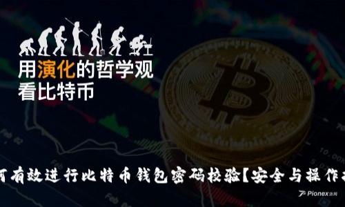 如何有效进行比特币钱包密码校验？安全与操作指南