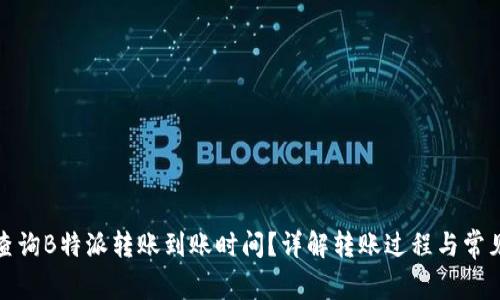 如何查询B特派转账到账时间？详解转账过程与常见问题