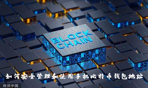 如何安全管理和使用手机比特币钱包地址