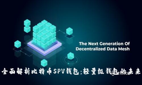 全面解析比特币SPV钱包：轻量级钱包的未来