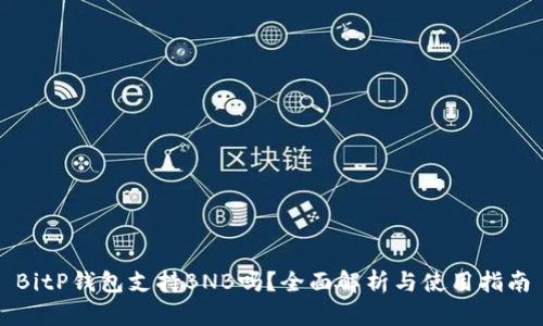 BitP钱包支持BNB吗？全面解析与使用指南