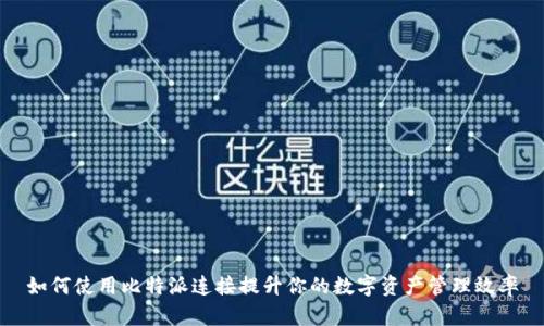 如何使用比特派连接提升你的数字资产管理效率
