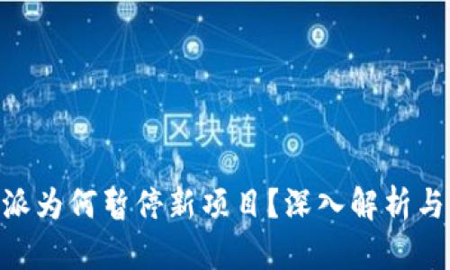 当前B特派为何暂停新项目？深入解析与未来展望