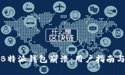 如何应对B特派钱包崩溃：用户指南与解决方案