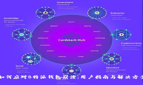 如何应对B特派钱包崩溃：用户指南与解决方案