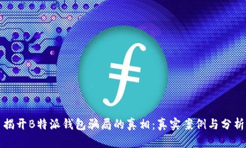 揭开B特派钱包骗局的真相：真实案例与分析