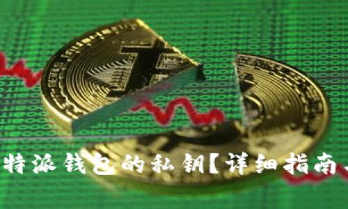 如何查看B特派钱包的私钥？详细指南与注意事项