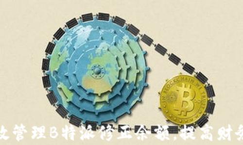 
如何有效管理B特派修正余额，提高财务透明度
