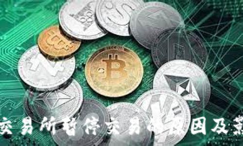   
比特派交易所暂停交易的原因及影响分析