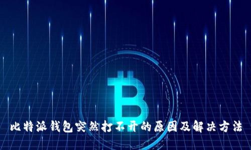 比特派钱包突然打不开的原因及解决方法