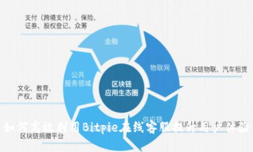 如何高效利用Bitpie在线客服提升用户体验