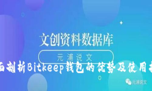 全面剖析Bitkeep钱包的优势及使用指南