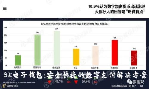 BK电子钱包：安全快捷的数字支付解决方案