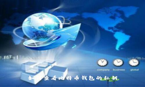 如何查看比特币钱包的私钥