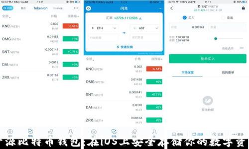 
开源比特币钱包：在iOS上安全存储你的数字资产