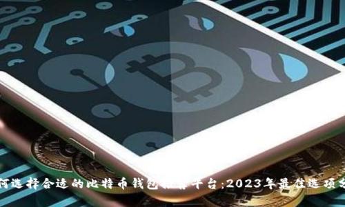 如何选择合适的比特币钱包推荐平台：2023年最佳选项分析