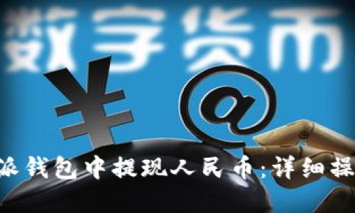 如何在B特派钱包中提现人民币：详细操作视频指南