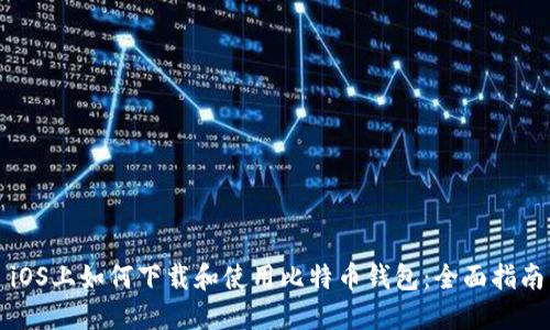 iOS上如何下载和使用比特币钱包：全面指南