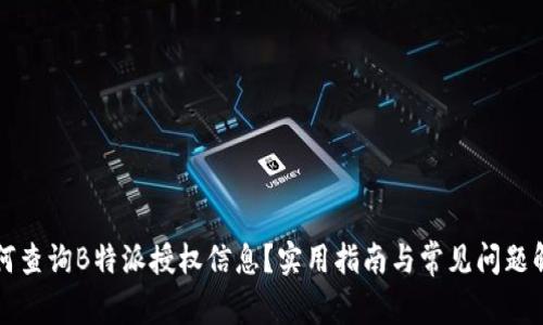 如何查询B特派授权信息？实用指南与常见问题解析