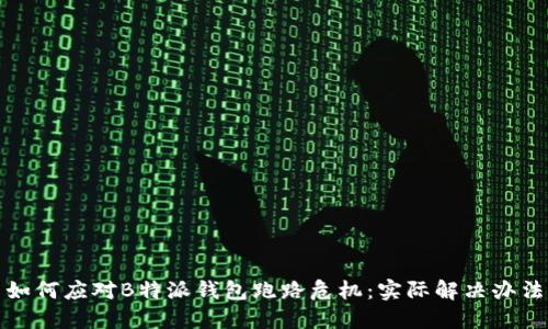 如何应对B特派钱包跑路危机：实际解决办法