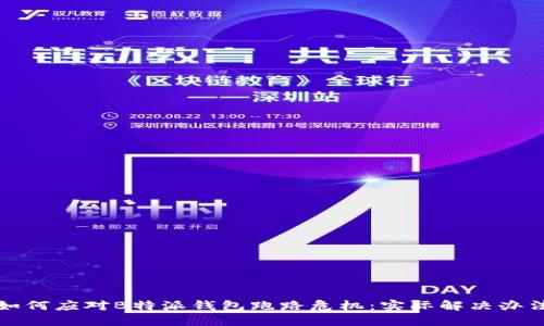 如何应对B特派钱包跑路危机：实际解决办法